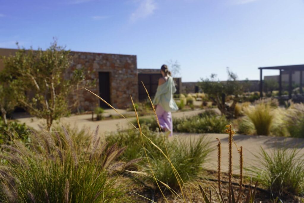 The garden of the Gundari Resort