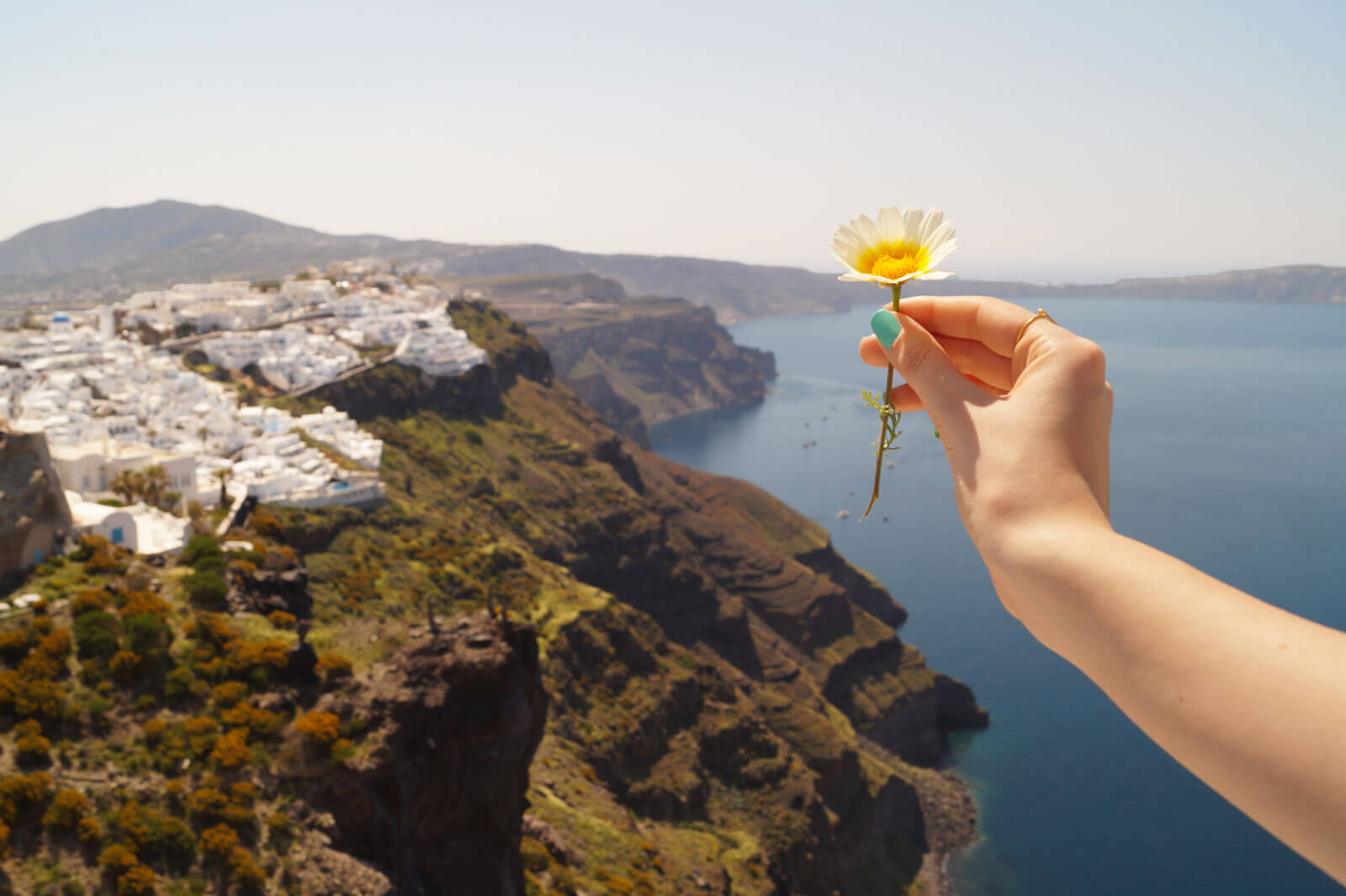 A female hand holding a flower over the Caldera of Santorini